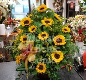 Piramide di Girasoli