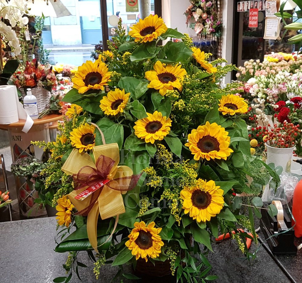 Foto Piramide di Girasoli